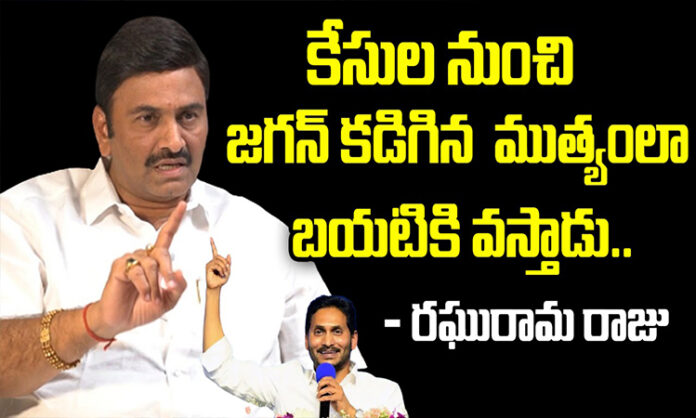 Raghurama Krishnamraju who made shocking comments about YS Jagan in court issuse ..?