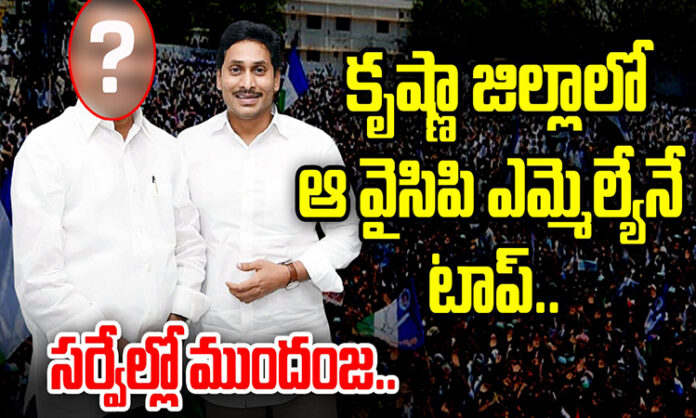 That YCP MLA of Krishna district is leading in the survey ..?