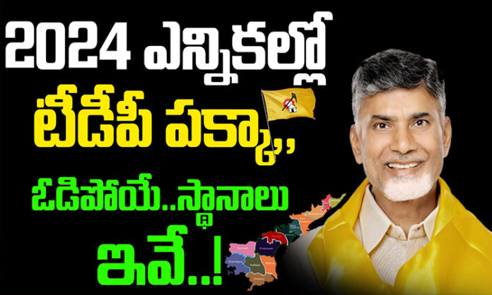 These are the places where TDP will definitely lose in 2024 elections?